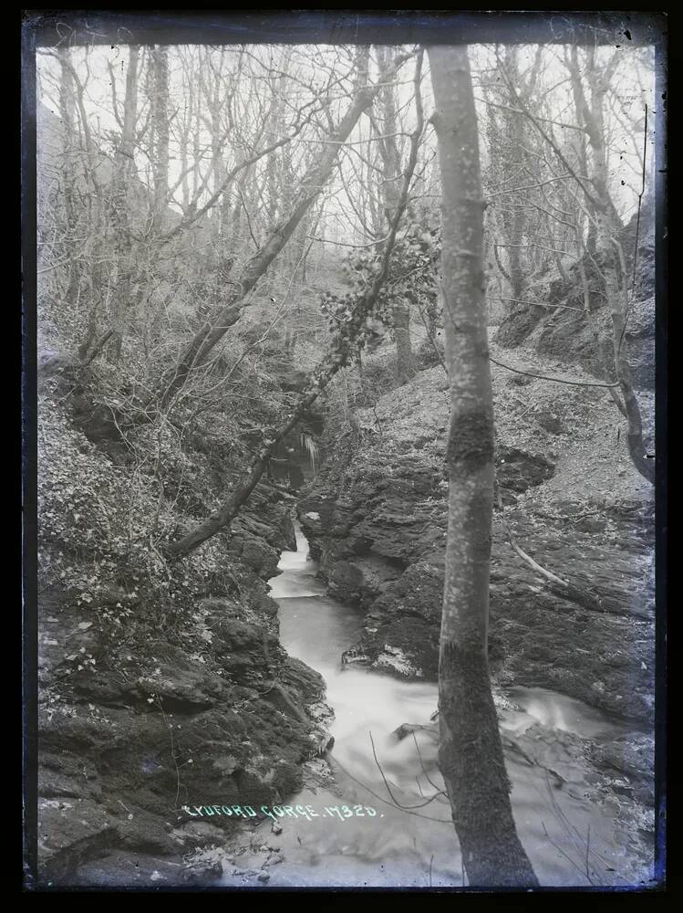 Lydford Gorge, Lydford