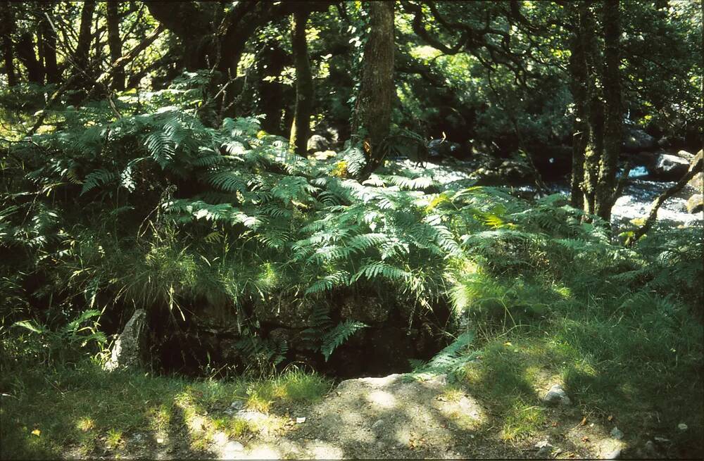 Vermin trap below Dartmeet