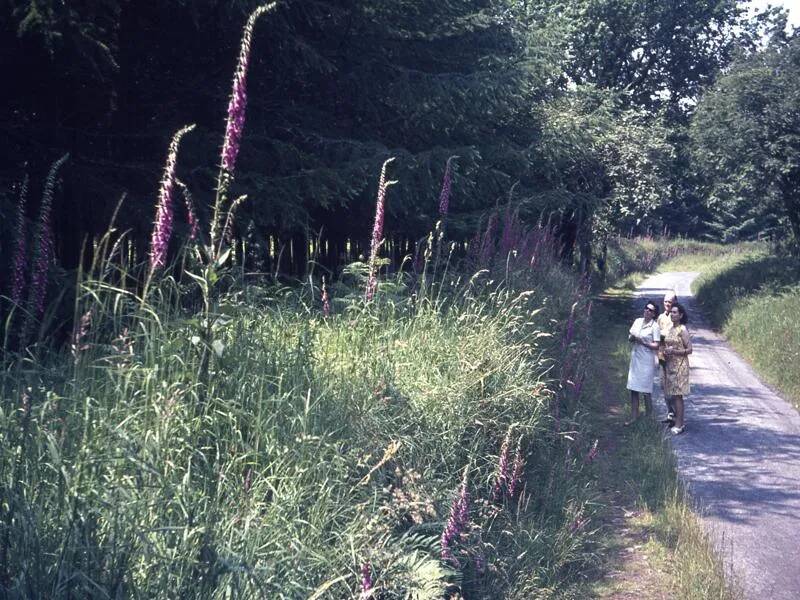 An image from the Dartmoor Trust Archive