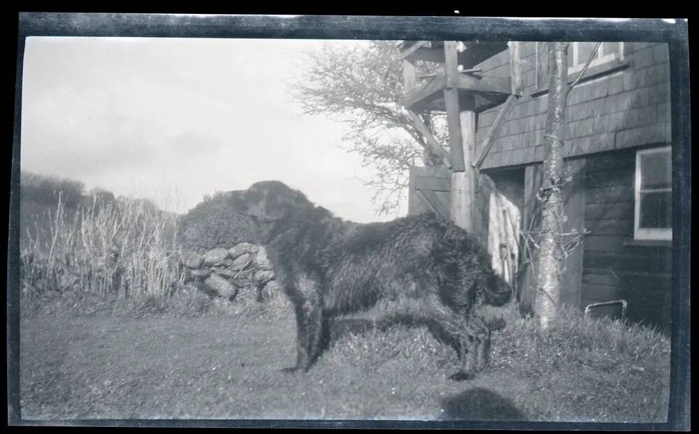 An image from the Dartmoor Trust Archive