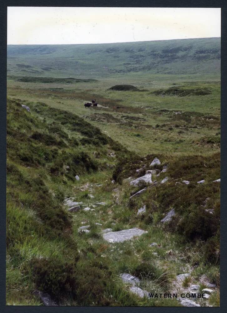 An image from the Dartmoor Trust Archive